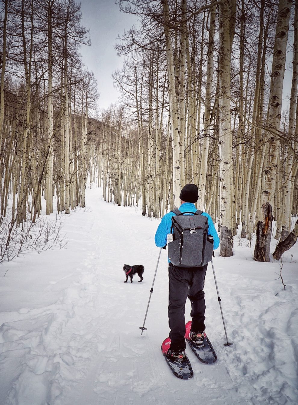 Snodgrass Snowshoeing