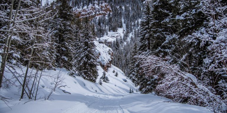 Cement Creek Nordic Trail Crested Butte Colorado