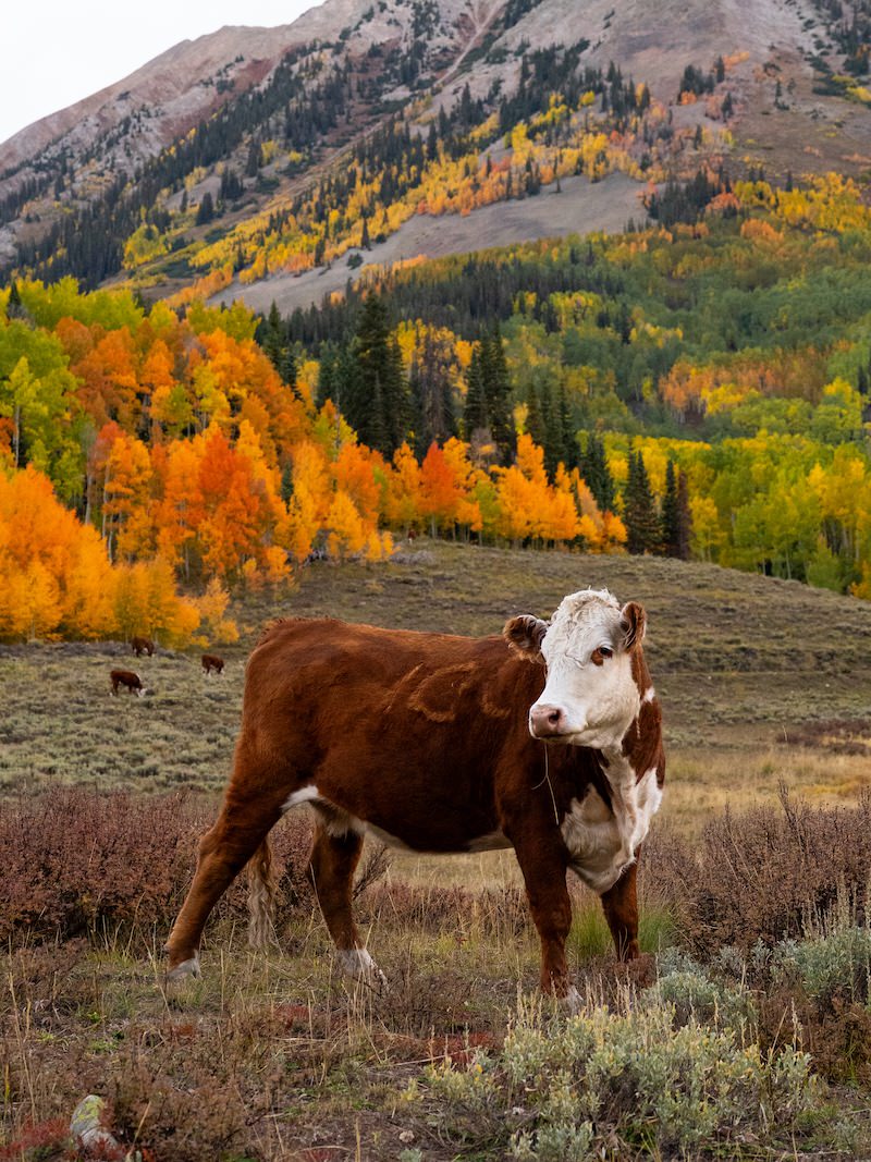 Washington Gulch - 9/24