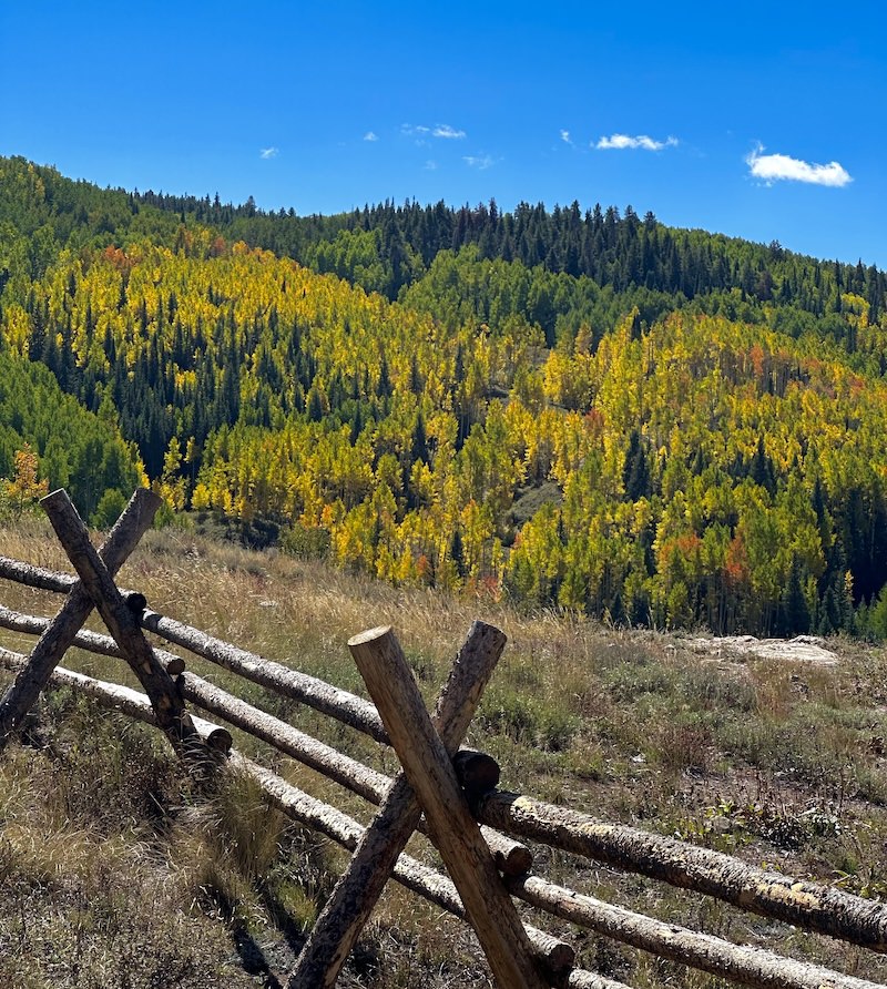 Brush Creek - 9/18