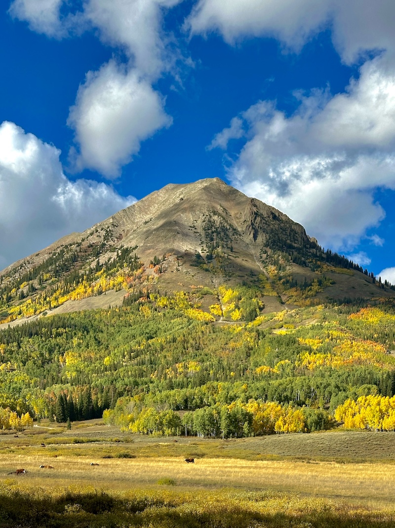 Gothic Mtn - 9/20