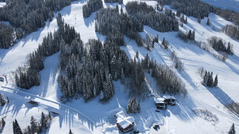 DJI 0655 768x432
