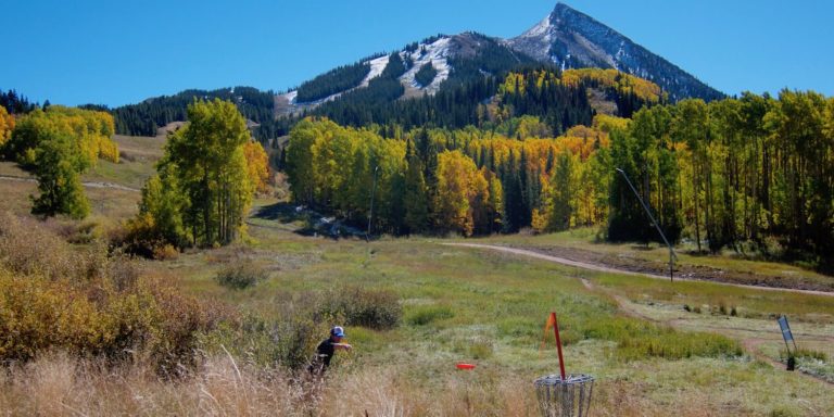 Disc Golf header