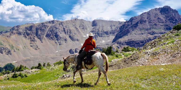Horseback header