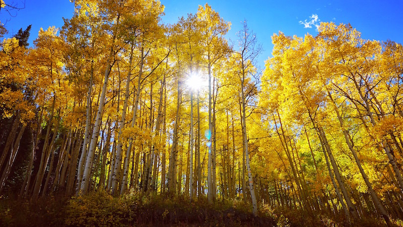 Crested Butte, Colorado