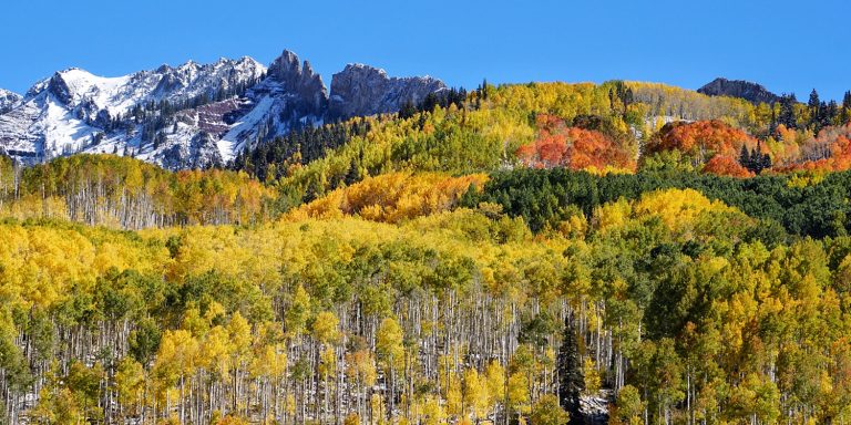Horse Ranch Park Crested Butte Colorado