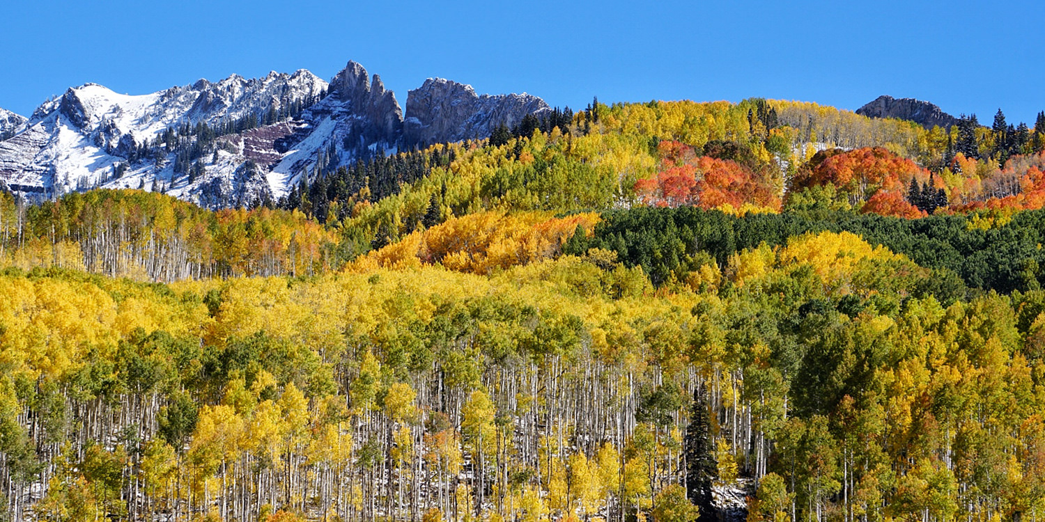 Horse Ranch Park Crested Butte Colorado