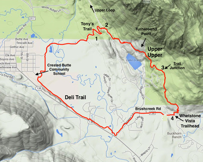 Interactive Google Map