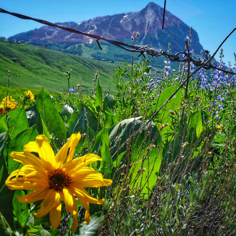 6/19 Washington Gulch