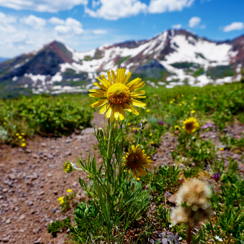 7/8 Scarp Ridge